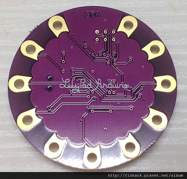 lilypad 013.jpg lilypad 013.jpg