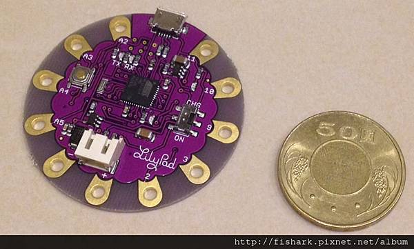 lilypad 014.jpg lilypad 014.jpg