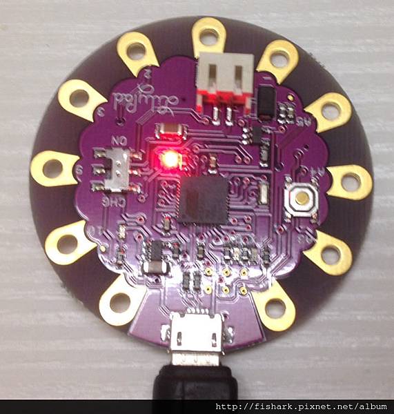 lilypad 011.jpg lilypad 011.jpg