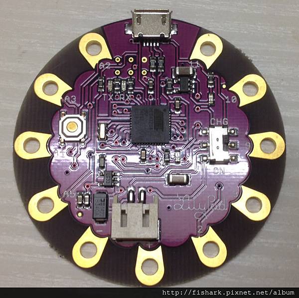 lilypad 012.jpg lilypad 012.jpg