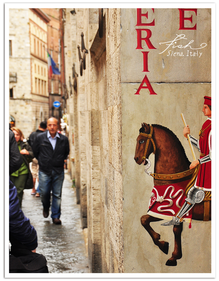 Fish_Siena_07_Blog