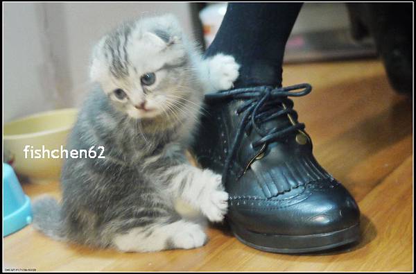 P1080339-1.jpg P1080339-1.jpg