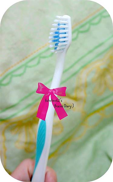 P1130619-1.jpg P1130619-1.jpg