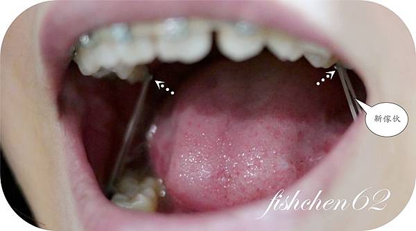 P1230039_副本.jpg P1230039_副本.jpg