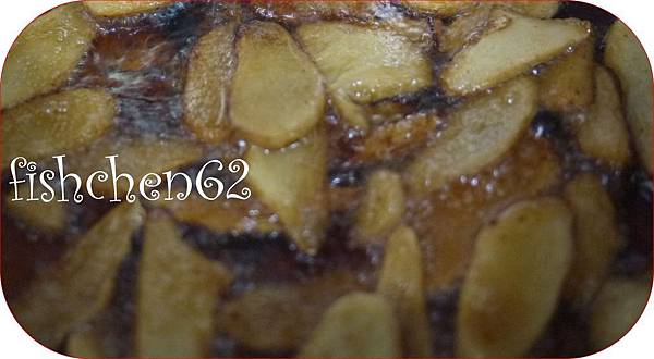 P1110351-1.jpg P1110351-1.jpg