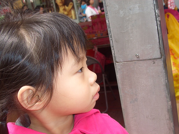 CIMG0775.JPG CIMG0775.JPG