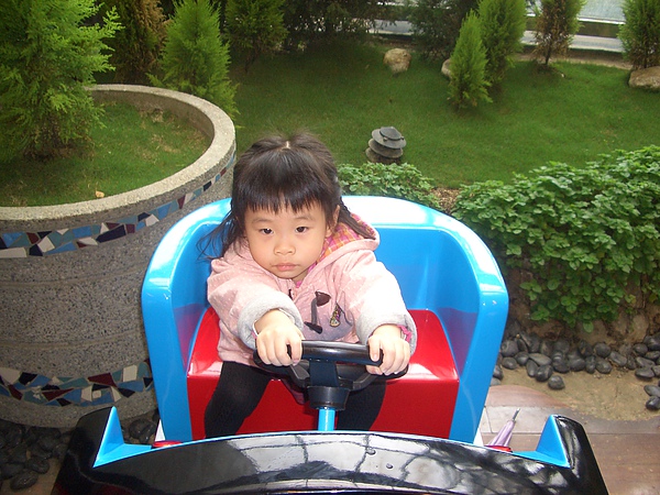 CIMG0687.JPG CIMG0687.JPG