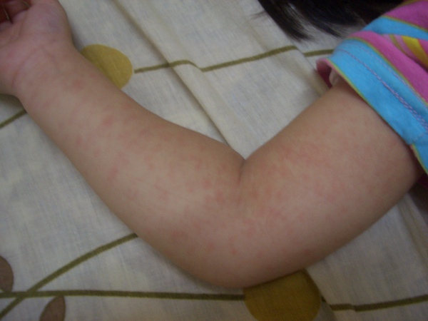 CIMG0550.JPG CIMG0550.JPG