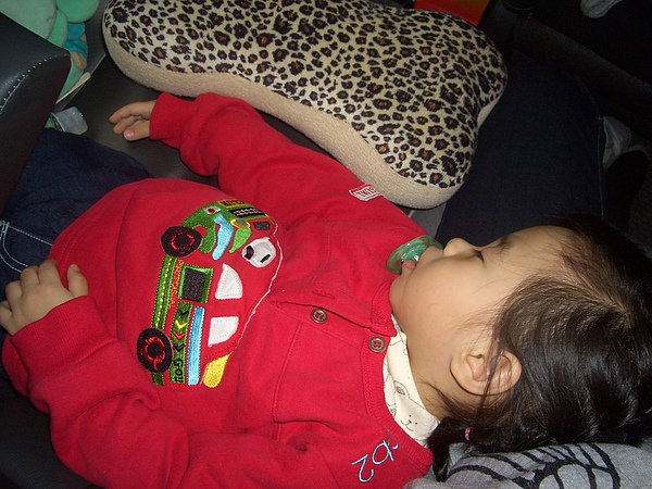 CIMG0688.JPG CIMG0688.JPG