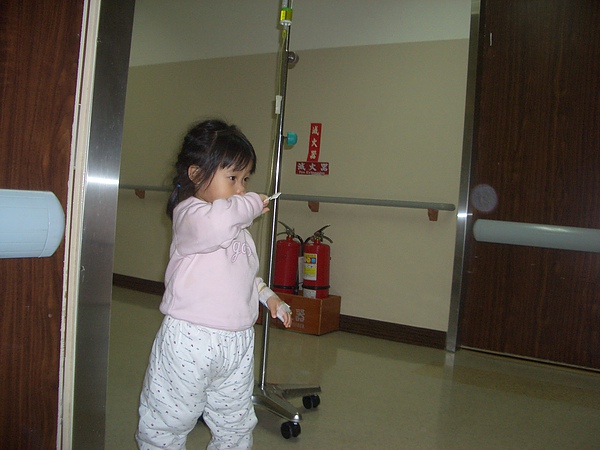 CIMG0680.JPG CIMG0680.JPG