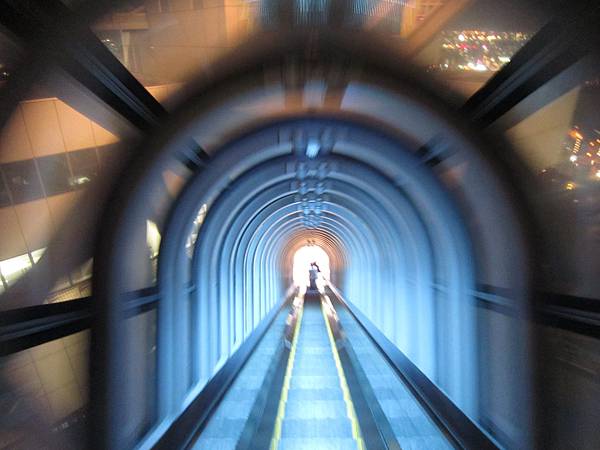 IMG_1683.JPG IMG_1683.JPG