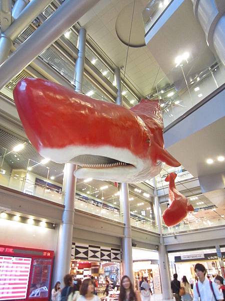 IMG_1639.JPG IMG_1639.JPG