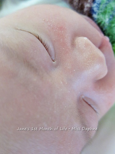 20120108_DAY24 (1).JPG