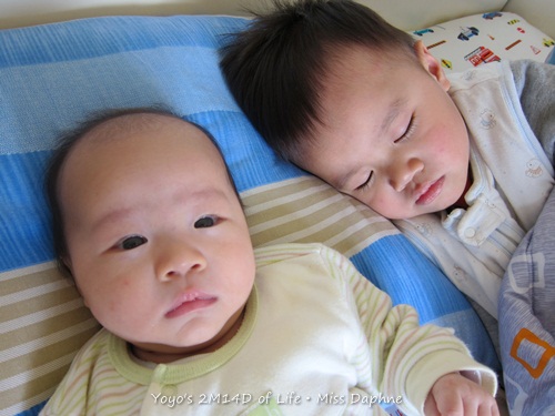 20120301 (2) 20120301 (2)