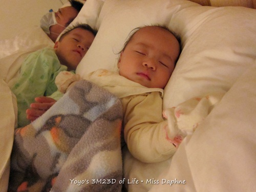 20120407 (8) 20120407 (8)