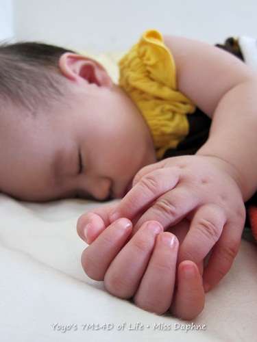 20120630 (12) 20120630 (12)