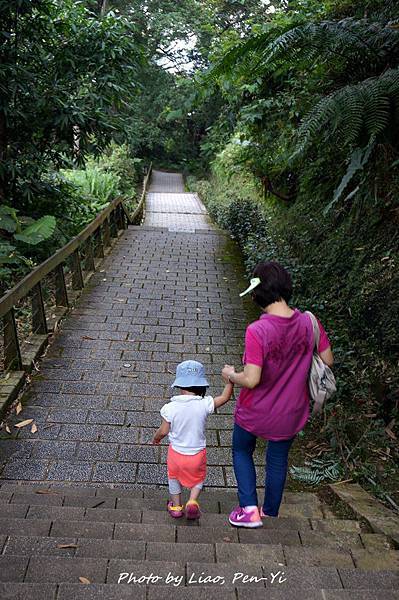 DSC04944-1 DSC04944-1