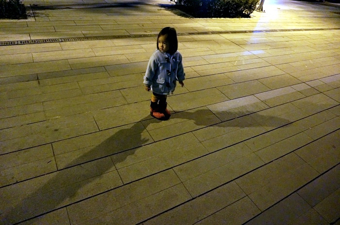 20131230 (33) 20131230 (33)