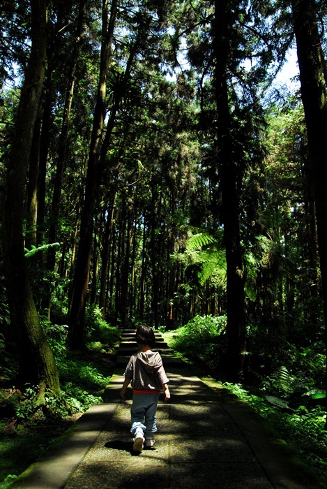 20140622 (24) 20140622 (24)