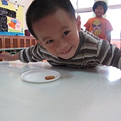 IMG_3445.jpg IMG_3445.jpg