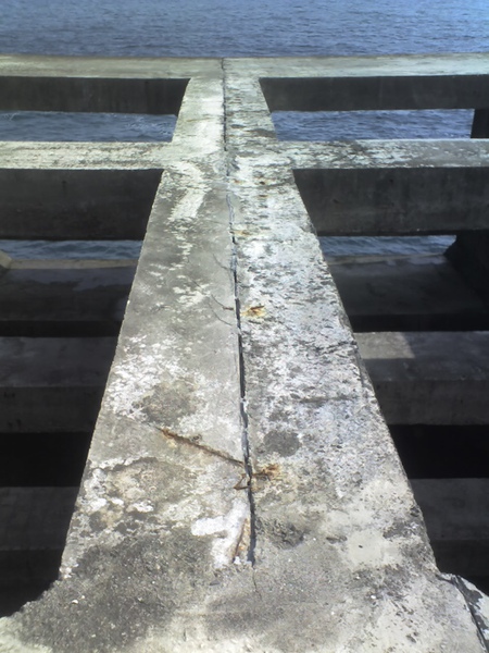 站在原地不動不敢前進