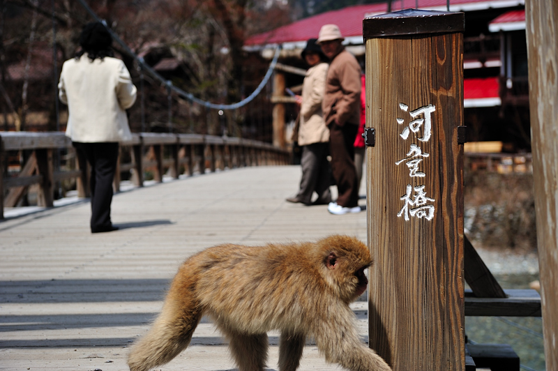 DSC_0808.jpg DSC_0808.jpg