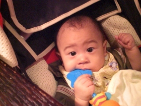 CIMG5558 (280x210).jpg