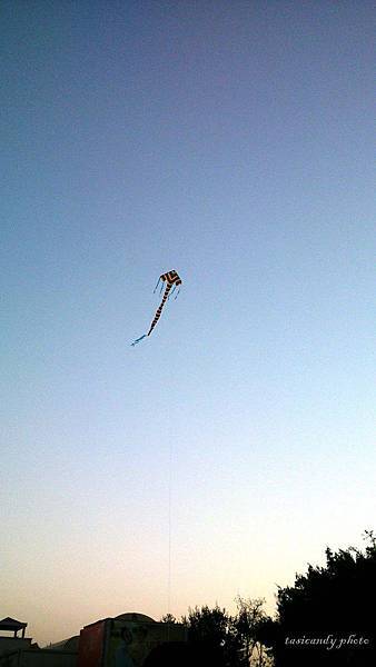 C360_2014-02-03-17-51-19-207_org