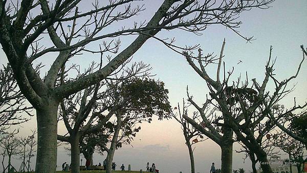 C360_2014-02-03-17-47-14-241_org