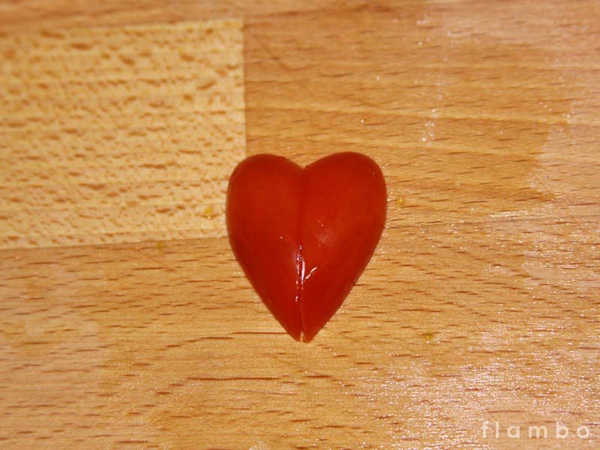a06.jpg a06.jpg