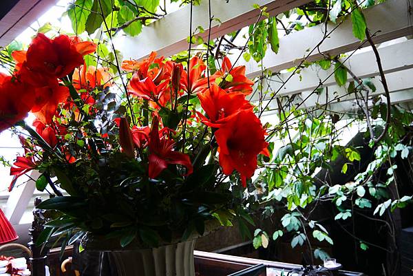 Flat 135/愛美食 蘇格蘭 Scotland 愛丁堡 Edinburgh The Witchery by the Castle 餐廳 Flat 135/愛美食 蘇格蘭 Scotland 愛丁堡 Edinburgh The Witchery by the Castle 餐廳