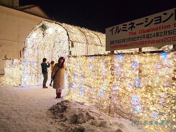 lol阿卡丽邪恶小说,彼岸花的画法步骤,巴巴人艺