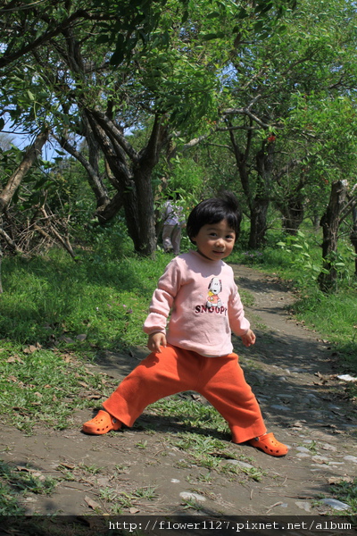 IMG_0212_大小 .JPG IMG_0212_大小 .JPG