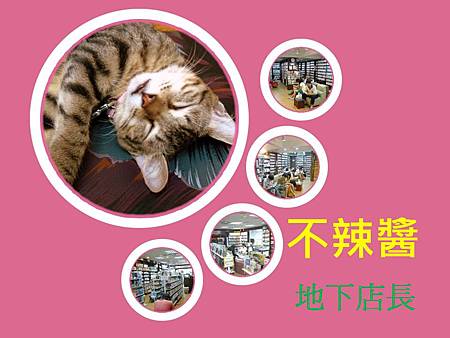 自設簡報佈景主題-投影片母片設計