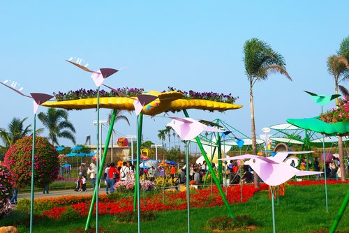 【台中】2011跟河馬先生一起遊新社花海+台中花毯節~到2011.12.11
