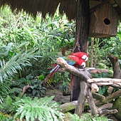 IMG_0072.JPG IMG_0072.JPG