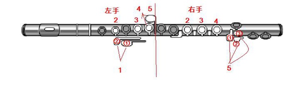 指法表 指法表