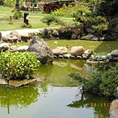 2009.08.15(7) 庭園裡的水池.jpg 2009.08.15(7) 庭園裡的水池.jpg