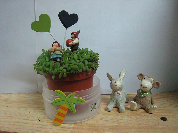 IMG_3897.JPG IMG_3897.JPG