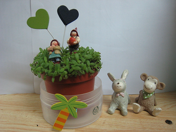 IMG_3898.JPG IMG_3898.JPG