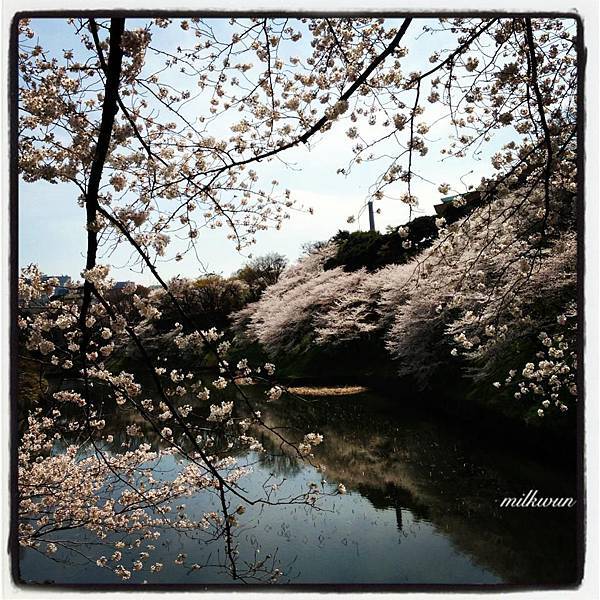 156517_10200901513048988_21866058_n