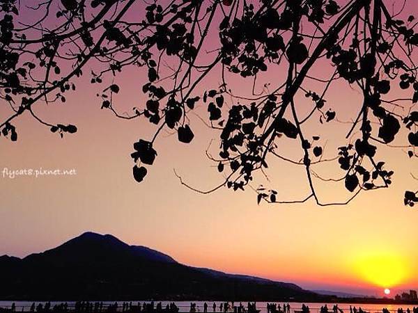 1549494_10202945986159538_1828682064_n