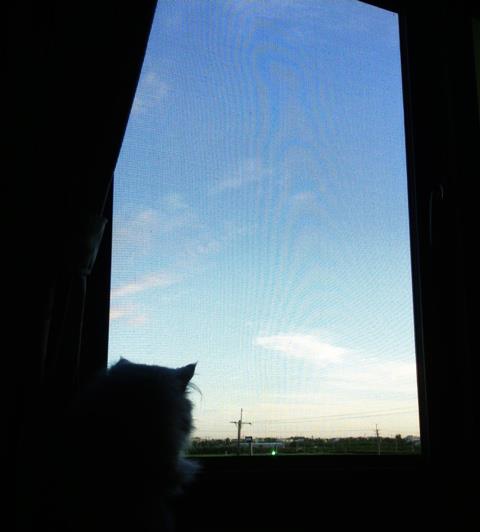 294977_3842817117824_296567682_n