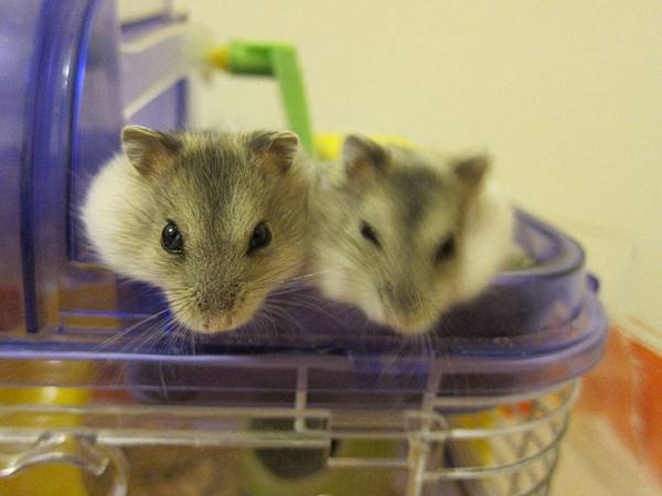 IMG_0310 IMG_0310