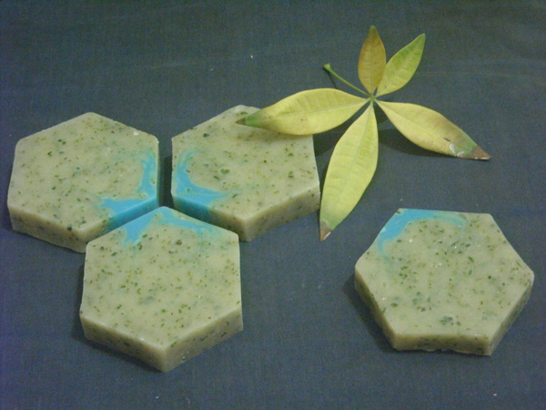 DSCN0577.JPG DSCN0577.JPG