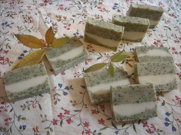 DSCN0590.JPG DSCN0590.JPG