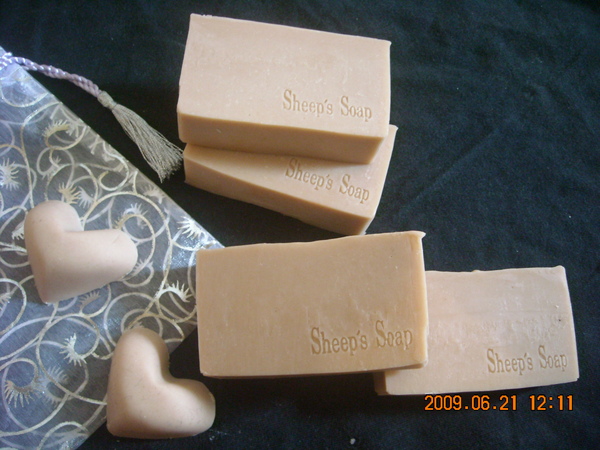 DSCN0092.JPG DSCN0092.JPG