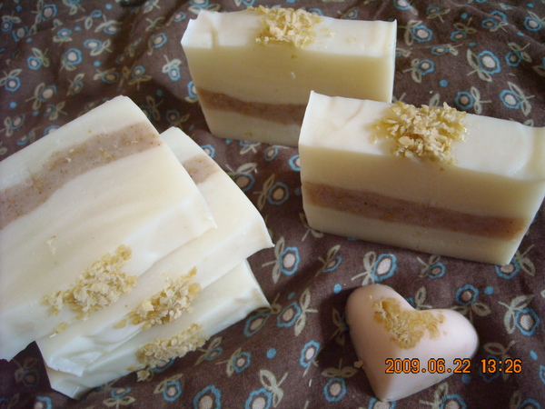 DSCN0198.JPG DSCN0198.JPG