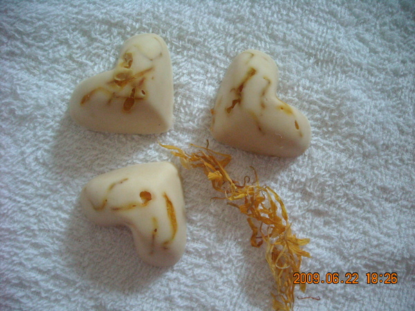 DSCN0207.JPG DSCN0207.JPG