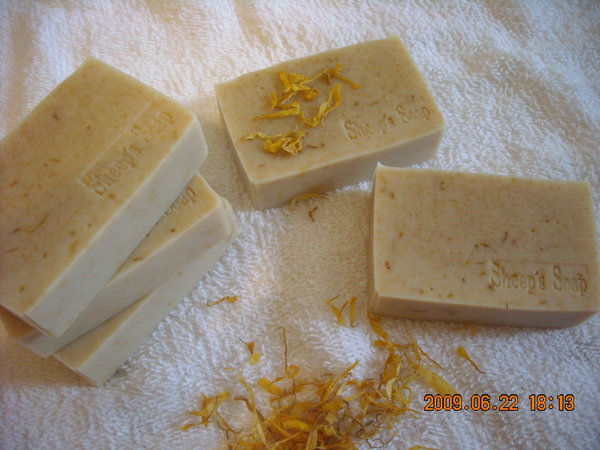 DSCN0294.JPG DSCN0294.JPG